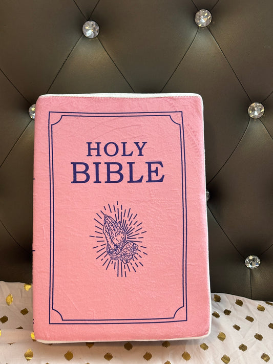 Plush Bible Pillow