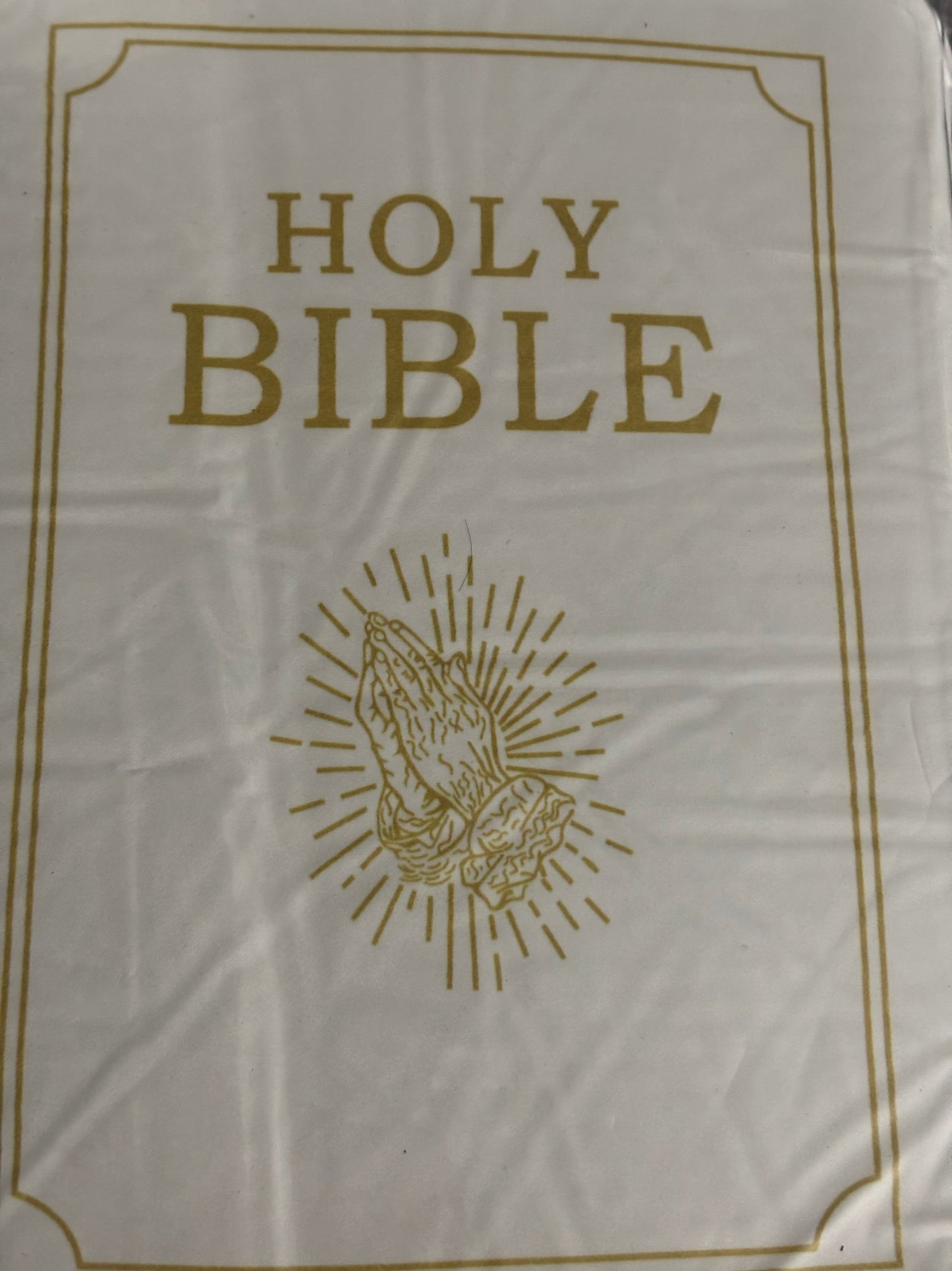 Plush Bible Pillow