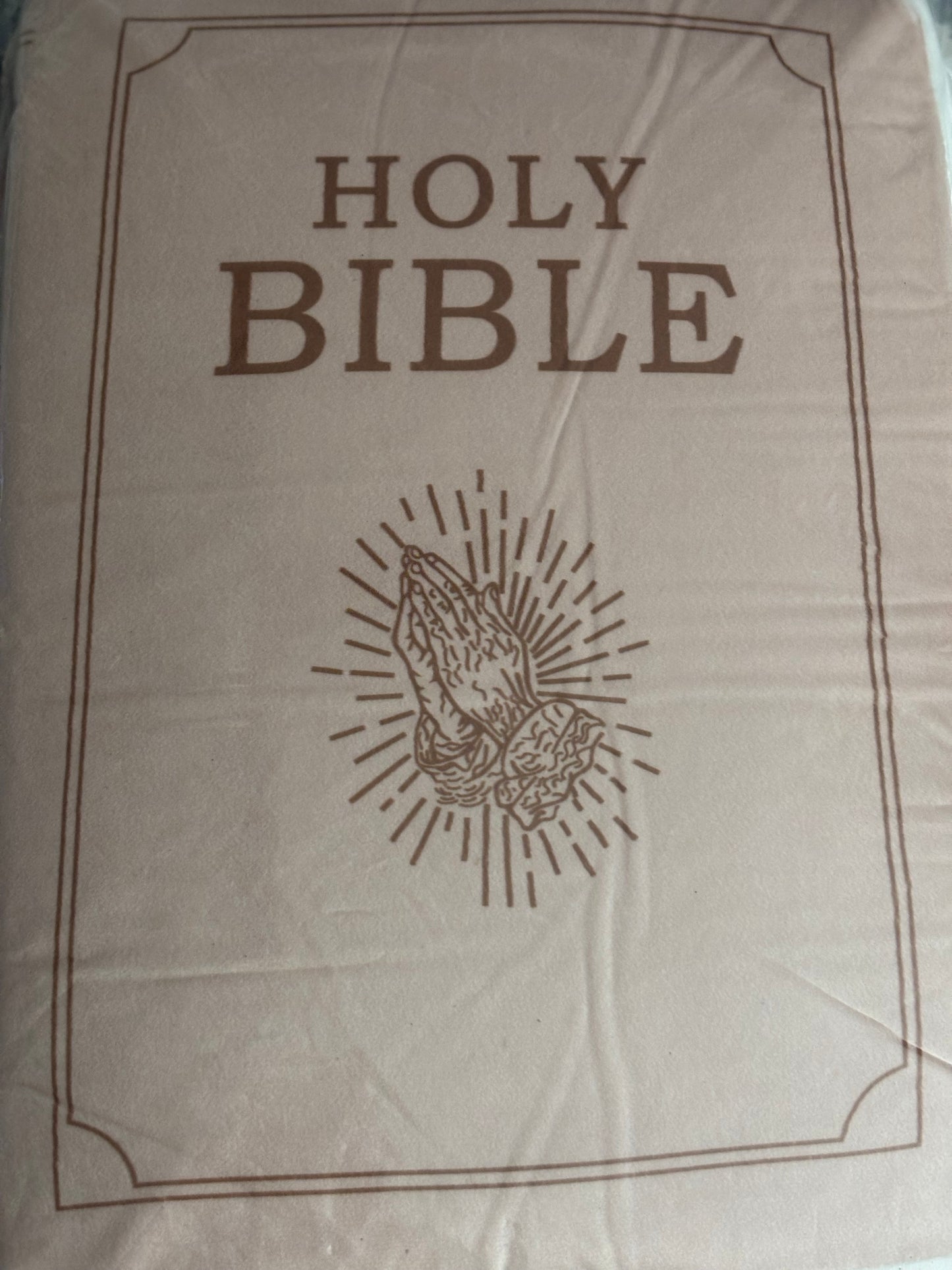 Plush Bible Pillow