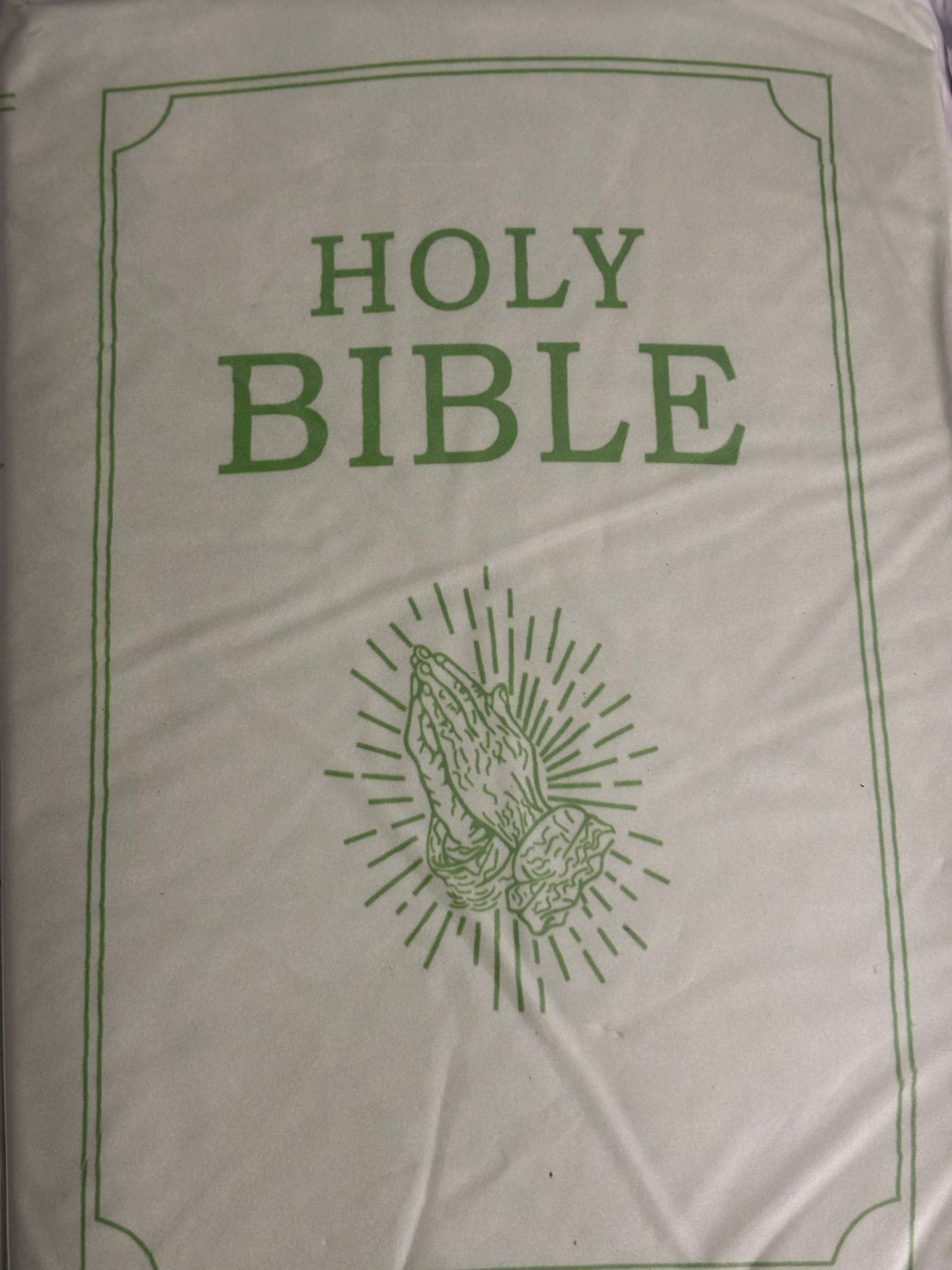 Plush Bible Pillow