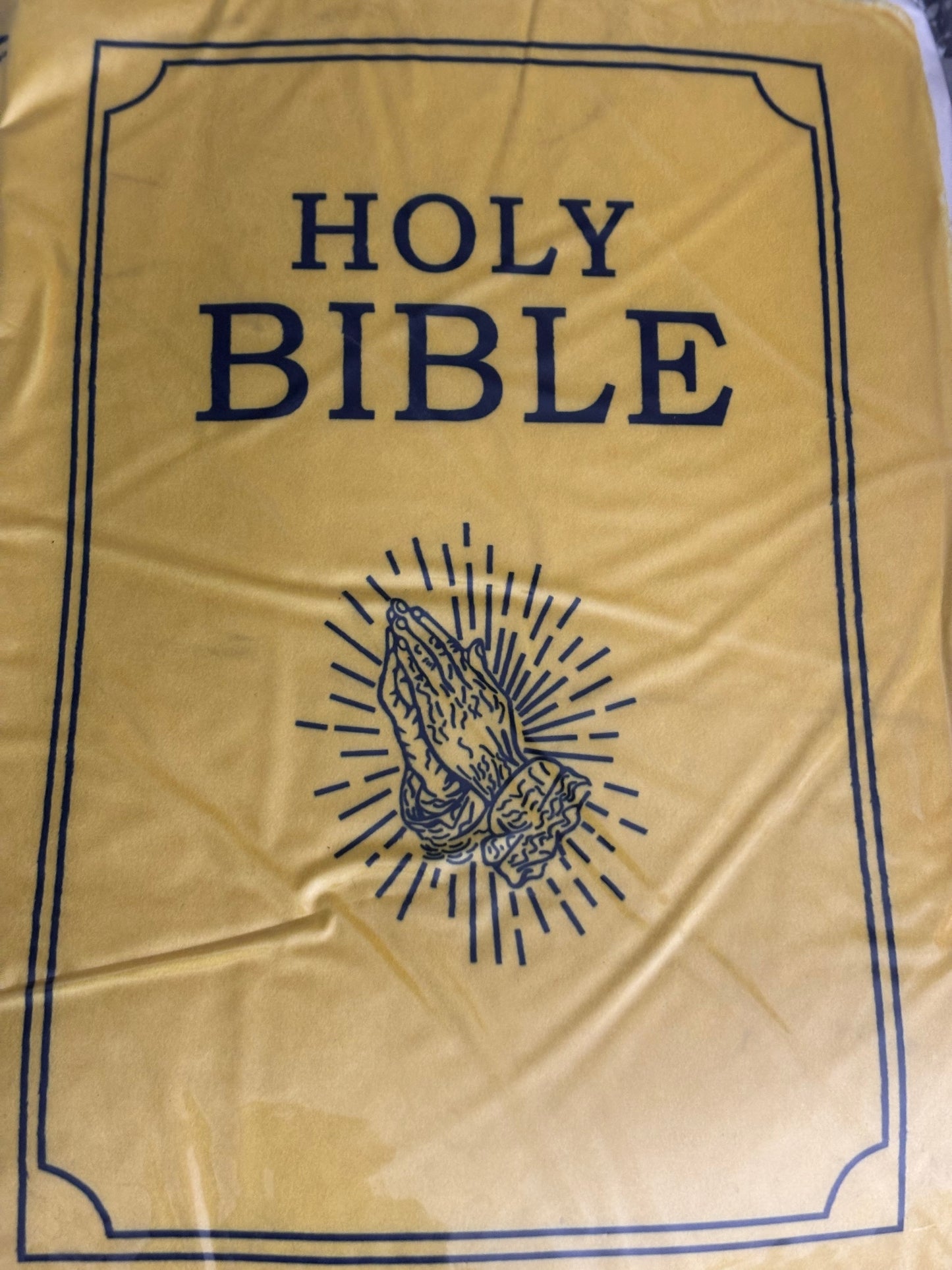Plush Bible Pillow